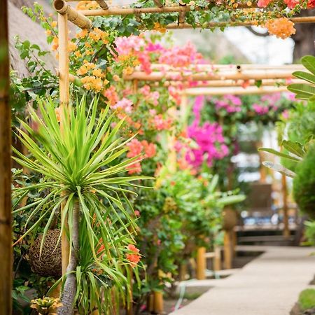 Bambu Cottages غيلي آير المظهر الخارجي الصورة